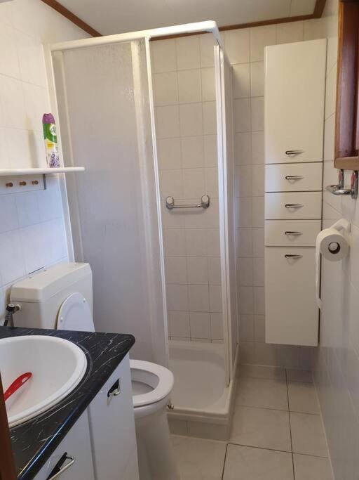 Cozy Chalet For 4 Veluwe Putten Eksteriør bilde
